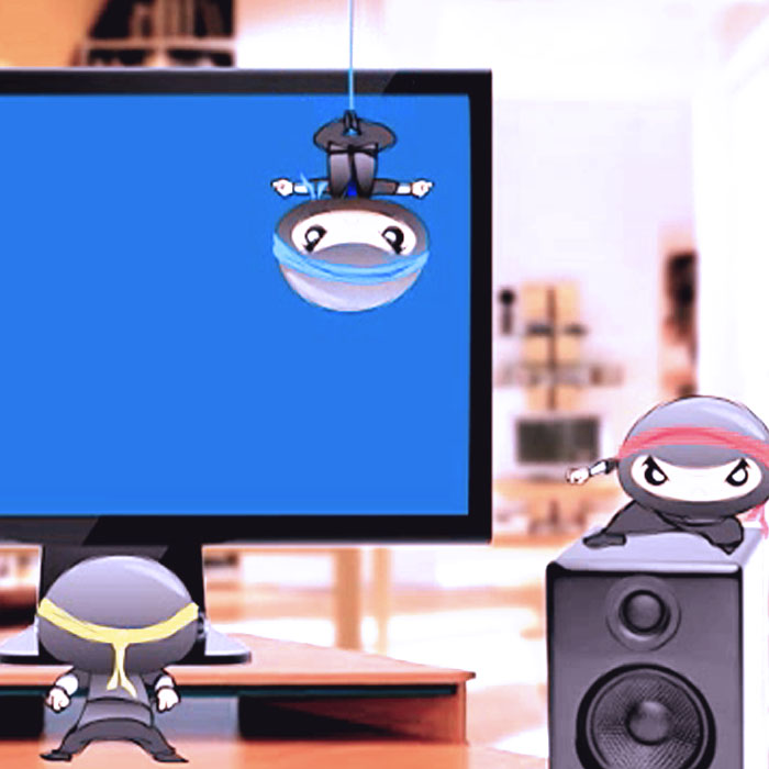 Ninja Virus